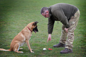 John Fitzpatrick at Cosford Dog Training