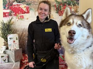 Supporting image for story: Dogs Trust Shrewsbury Christmas appeal for treats and toys