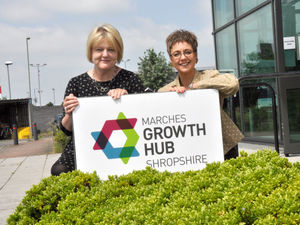 Supporting image for story: Growth hub celebrates year of success