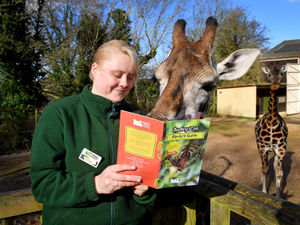 Supporting image for story: Dudley Zoo brings out new pocket guide filled with animal facts and helpful map