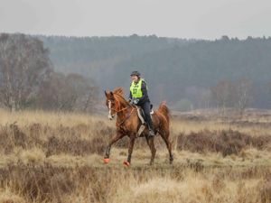 Supporting image for story: Popular Cannock Chase endurance ride sells out in just one hour