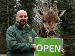 Supporting image for story: Delight as Dudley Zoo and Castle reopens