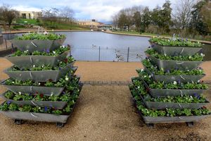 Telford Town Park
