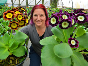 Supporting image for story: Bridgnorth plant nursery to feature on Gardener's World