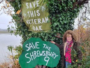 Supporting image for story: Campaigners against Shrewsbury relief road to dance for the trees to raise £20k for legal fight