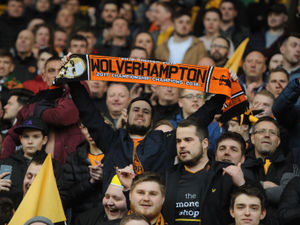 Supporting image for story: Wolves fans speak out in 2017/18 season survey: Results