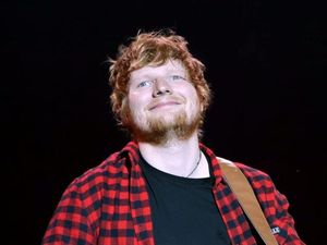 Supporting image for story