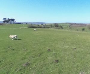 Land at Betchcott Hill. Picture: Google Maps