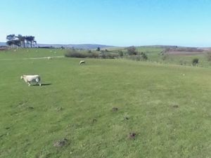 Supporting image for story: Shropshire Wildlife Trust wants to build car park at nature reserve in south Shropshire