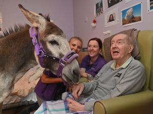 Supporting image for story: 'Everyone was thrilled' - Great Wyrley care home residents welcome two new friends as part of therapy session