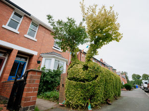 Supporting image for story: Big, hungry caterpillar crawls into Shrewsbury neighbourhood's heart