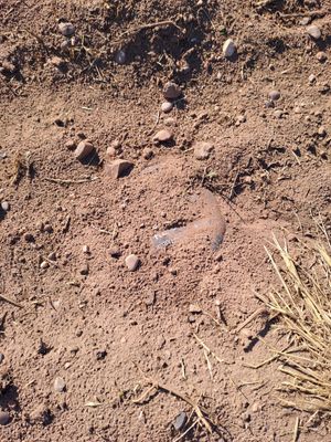 This "suspicious" item triggered a call out. Photo: Shifnal and Albrighton Police FB