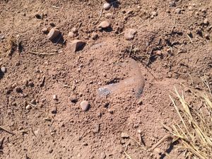 Supporting image for story: 'Unexploded bomb' near Shifnal triggers police call-out - before officers learn what object really is