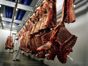 Supporting image for story: Fall in number of British abattoirs risks ‘seriously jeopardising’ food security