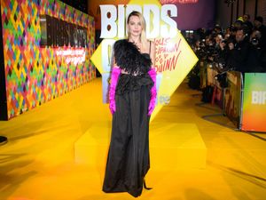 Supporting image for story