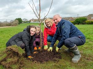 Supporting image for story: Time almost up for green grant applications