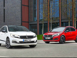 Supporting image for story: Rarity could be key to success