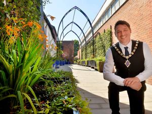 Supporting image for story: In the avenues and alleyways a transformation is underway