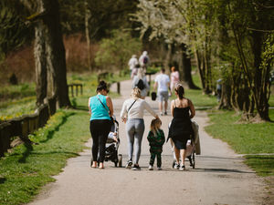 Supporting image for story: The tiniest taste of things to come as temperatures hit 20C