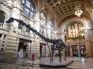 Supporting image for story