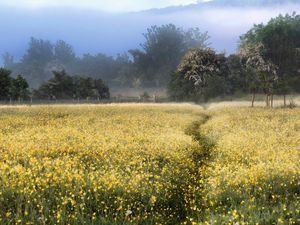 Supporting image for story: Squelch! New wetland project at visitor attraction should be ready in the spring