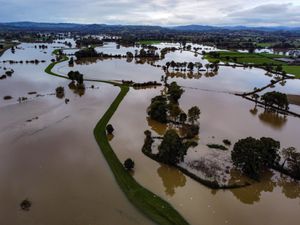Supporting image for story: Bank's agricultural division offering extra help to farmers hit by floods 