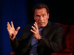 Supporting image for story: Disruptive climate protests are caused by political inaction – Schwarzenegger