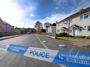 Supporting image for story: Boy, 15, arrested for attempted murder after Brownhills stabbing