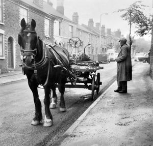 A rag and bone man at Brierley Hill on August 23, 1963. 
