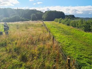 Supporting image for story: Planning inquiry after 99-acre Telford solar farm plan rejected