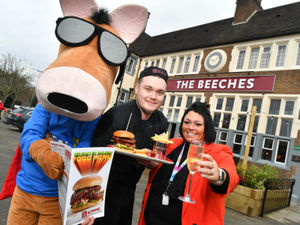 Supporting image for story: Free puddings at Hungry Horse pubs for anyone who donates a toy - here's where to find your local Black Country branch