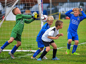 Supporting image for story: Great turnout marks Trysull Tigers' 25th