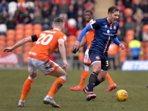 Supporting image for story: Scott Laird: Walsall can start again