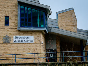 Supporting image for story: Telford man, 23, jailed for 'poking' woman with axe