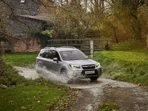 Supporting image for story: King of the great outdoors