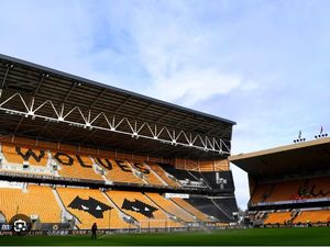 Supporting image for story: Wolves issue statement addressing 'inappropriate online speculation'