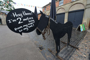Neigh a bad way to advise on social distancing