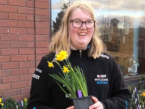 Supporting image for story: Derwen college garden centre ready to spring into action