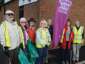 Supporting image for story: Litterpickers to the rescue 