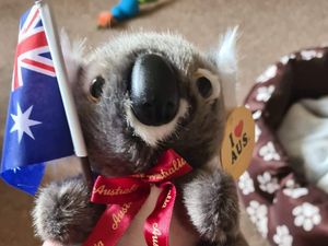 Supporting image for story: Cuddly thanks from Australia for Wolverhampton's dancing binmen 