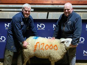 Supporting image for story: Bridgnorth agricultural auction raises £12,000 for cancer charity
