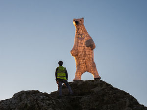 Clarion the Polar Bear by Bamber Hawes. Picture: Andrew Fusek Peters