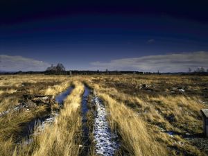 Supporting image for story: Culloden battlefield maps provide accurate picture of 1746 landscape