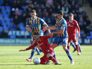 Supporting image for story: Inside track on Shrewsbury's Luke Leahy 