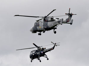 Wildcat and Wasp Helicopters at Cosford Air Show 2024