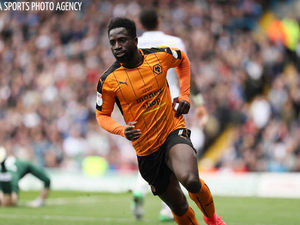 Supporting image for story: Leeds United 0 Wolves 1 - Report and pictures