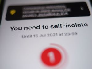 Supporting image for story: People should make ‘informed decision’ if pinged by Covid app, minister says