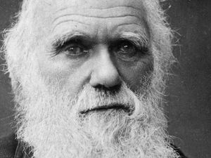 Supporting image for story: Precious Darwin notebooks reported stolen from university library