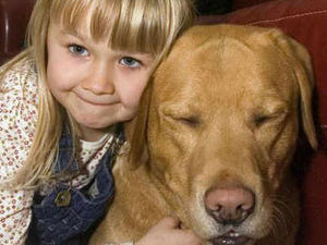 Supporting image for story: Angus is reunited with his owners after two years