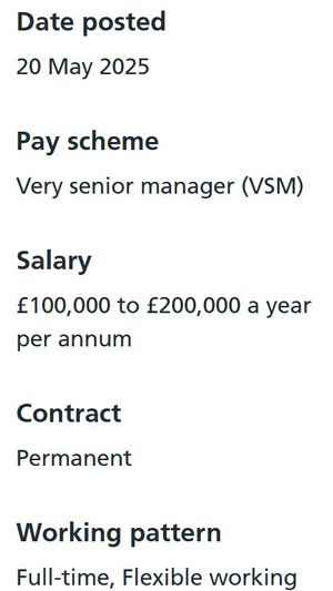 Screenshot of the advertised role. Picture: NHS jobs website
